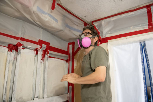 Best HVAC Mold Inspection and Cleaning  in Ferndale, PA