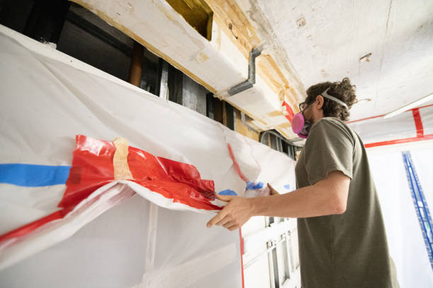 Best Crawl Space Mold Remediation  in Ferndale, PA
