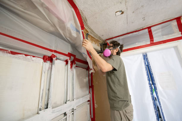 Best Post-Remediation Verification Testing  in Ferndale, PA