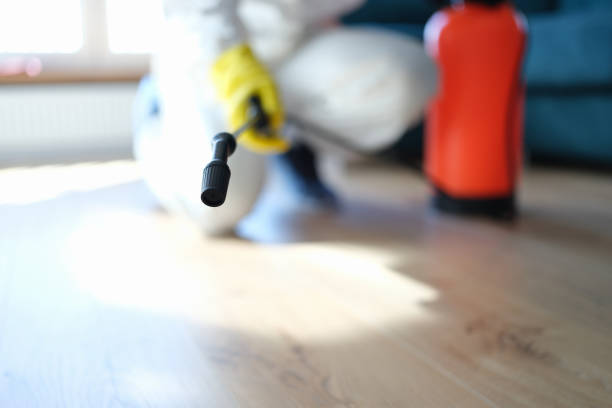  Ferndale, PA Mold Removal Pros