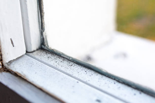 Mold Remediation for Vacation Homes in Ferndale, PA