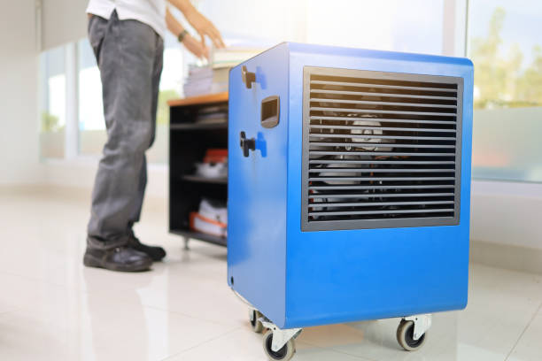 Best Mold Remediation for Vacation Homes  in Ferndale, PA