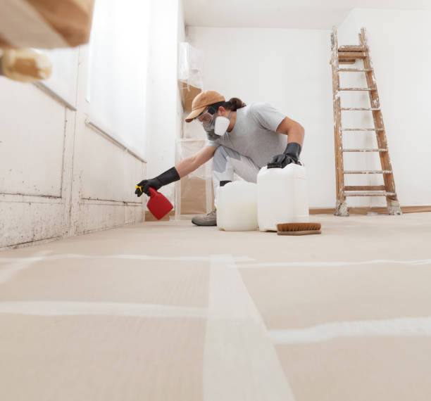 Mold Odor Removal Services in Ferndale, PA